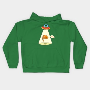 Funny Cat Stolen By Aliens Kids Hoodie